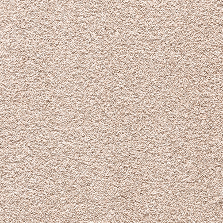 Carpets Online Quality Carpet & Flooring Tapi